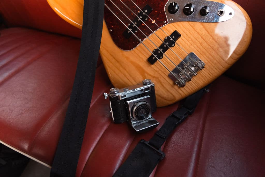 raybug 55 - Bug Collection