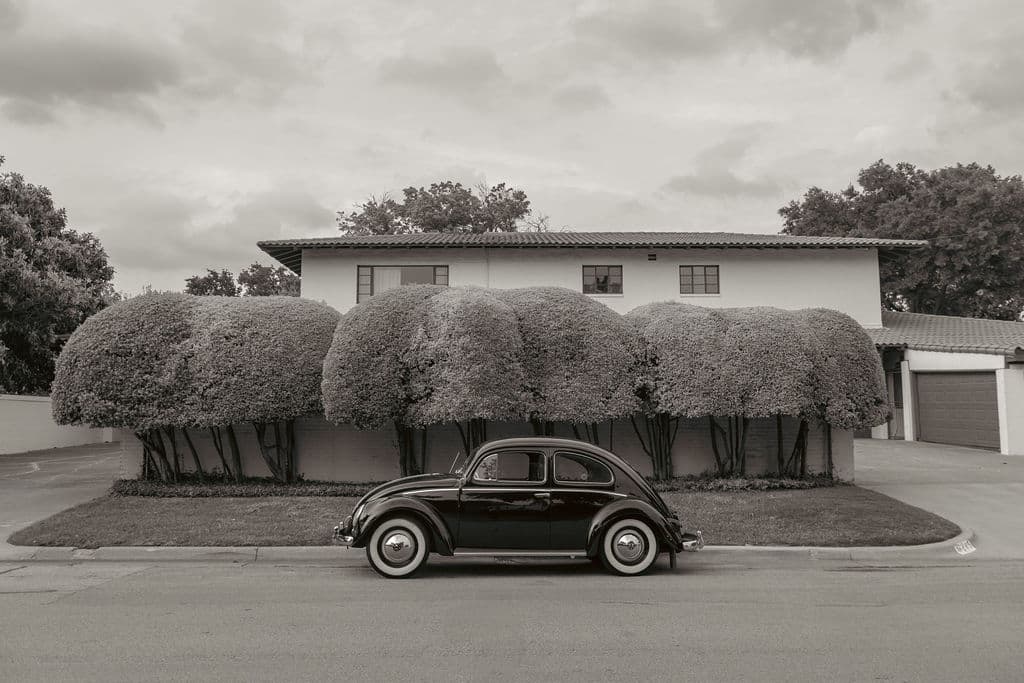 raybug 78 - Bug Collection