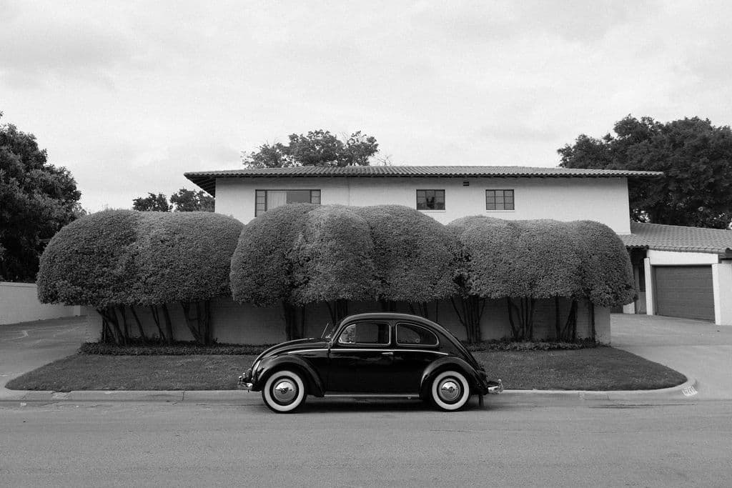 raybug 8 - Bug Collection