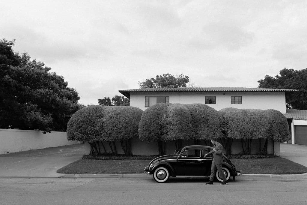 raybug 9 - Bug Collection