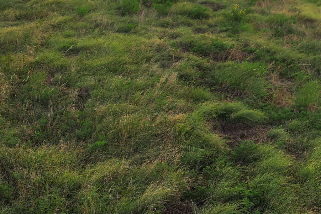 clearsky 38 - Clear Sky